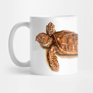 Naturalist vintage secular tortoise Mug